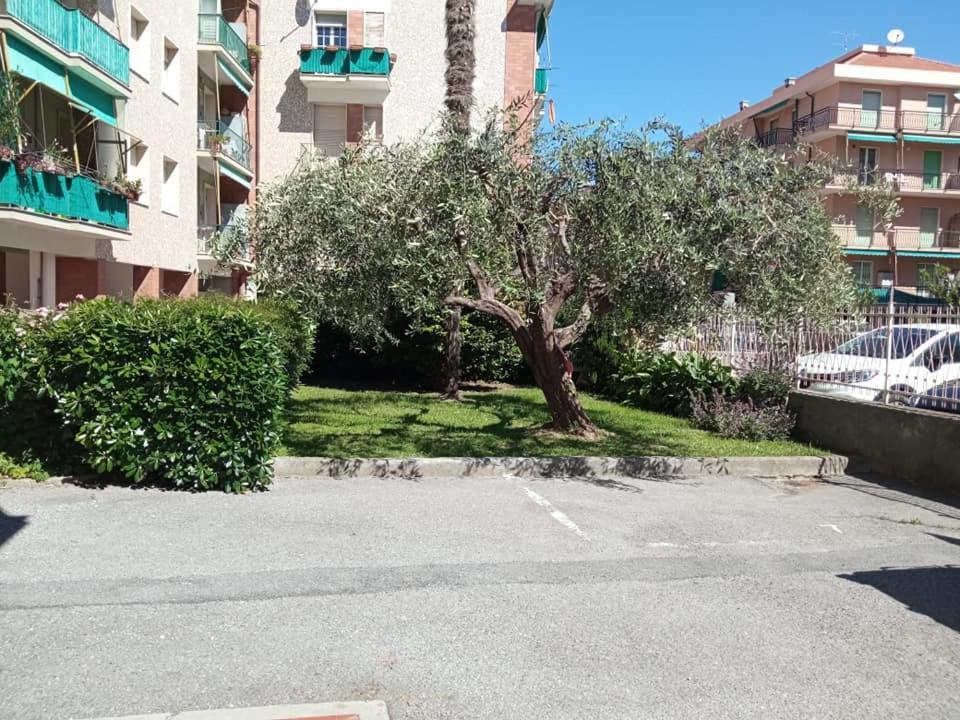 Nonna Pella Appartamenti - Corbezzolo Pietra Ligure Δωμάτιο φωτογραφία